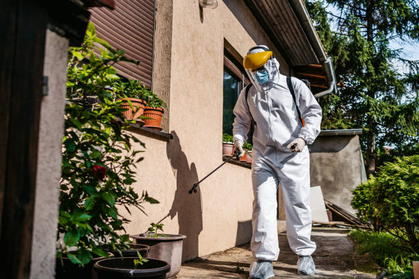 Best Best Pest Control Companies  in Goleta, CA