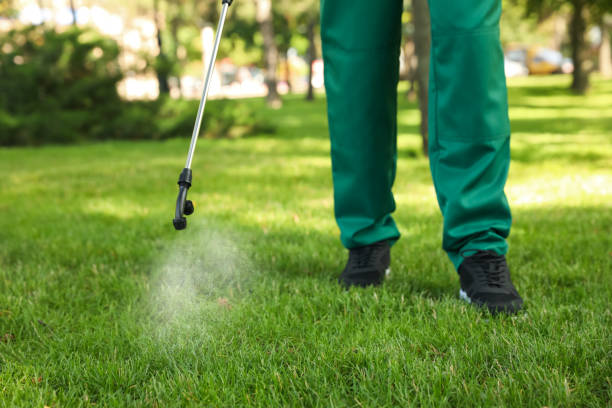 Best Wasp Removal Services  in Goleta, CA