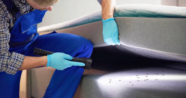 Best Bed Bug Extermination  in Goleta, CA