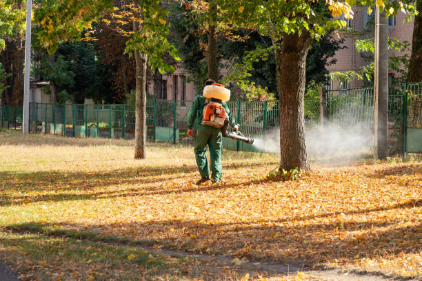 Best Residential Pest Control  in Goleta, CA