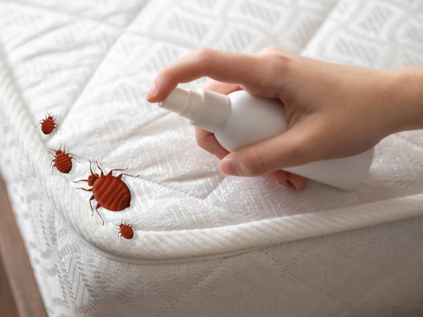 Best Commercial Pest Control Services  in Goleta, CA