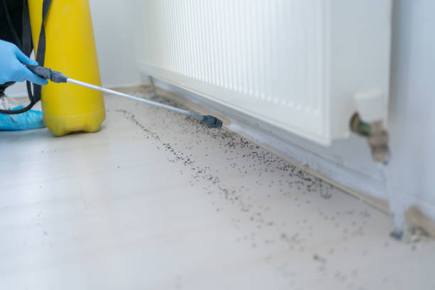 Best Pest Control for Restaurants  in Goleta, CA